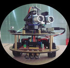 Многофункциональный Remote черепахи привода DIY частей 2WD автомобиля дистанционного управления толковейший